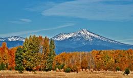 Fall Landscape!